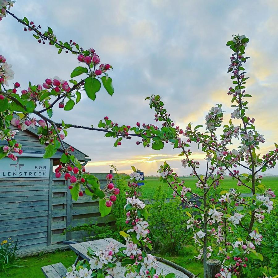 B&B Molenstreek Гронинген Экстерьер фото